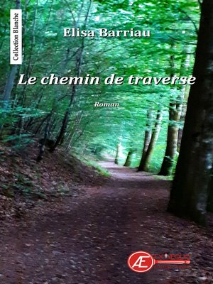 cover image of Le chemin de traverse